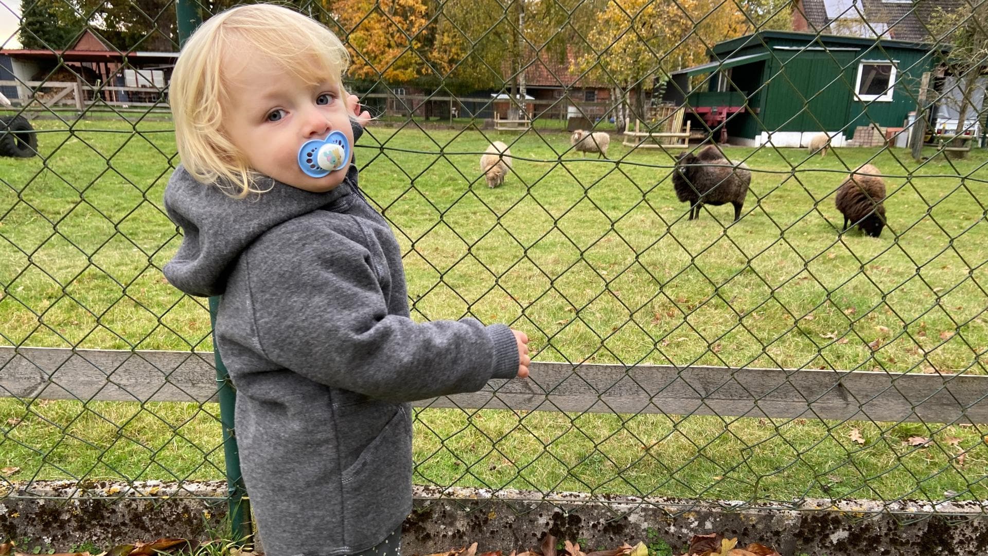 Die Walkjacke von Engel ist die perfekte Übergangsjacke, findet Franziska. Die Walkjacke von Engel ist die perfekte Übergangsjacke, findet Franziska.