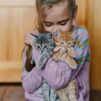 Katzenwitze für kleine Katzenfans. Ein Mädchen kuschelt mit zwei kleinen Katzen.