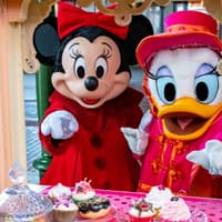 Eins ist sicher: Der Zuckerschock bleibt im Disneyland nicht aus.