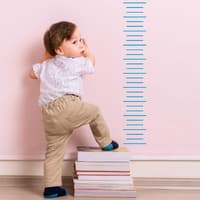 Viele Kinder werden größer als ihre Eltern.