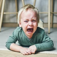 Wenn Kinder über den Tag Frust aufbauen, muss dieser irgendwann auch wieder raus. Schreiendes, am Boden liegendes Kleinkind.