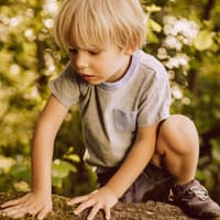 Kinder können so viel spüren und dabei lernen, vor allem auch im Wald. Kind klettert auf einen Ast