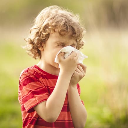 Junge mit Heuschnupfen putzt sich die Nase Junge mit Heuschnupfen putzt sich die Nase