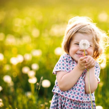 Mädchen hält eine Pusteblume in der Hand Mädchen hält eine Pusteblume in der Hand