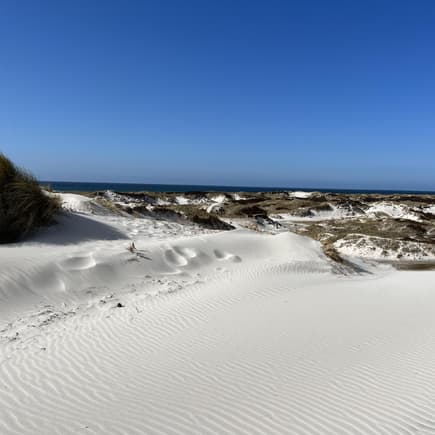 Die Dünen-Landschaft auf Bornholm Dünen-Landschaft auf Bornholm