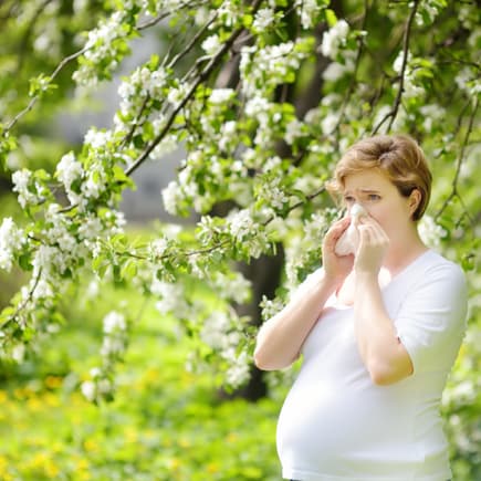 Bei Heuschnupfen in der Schwangerschaft fragen sich viele Frauen, ob und welche Medikamente sie nehmen dürfen. Eine schwangere Frau putzt sich auf einer Wiese die Nase.