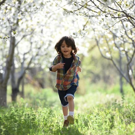 Die neuen Kräfte, die der Frühling mit sich bringt, lassen sich wunderbar auch in Jungennamen ausdrücken. Junge rennt unter Obstbäumen über eine grüne Frühlingswiese.