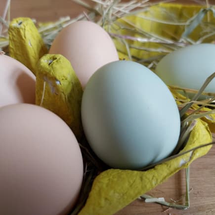 Bunter Eierkarton als Osternest. Bunter Eierkarton als Osternest.
