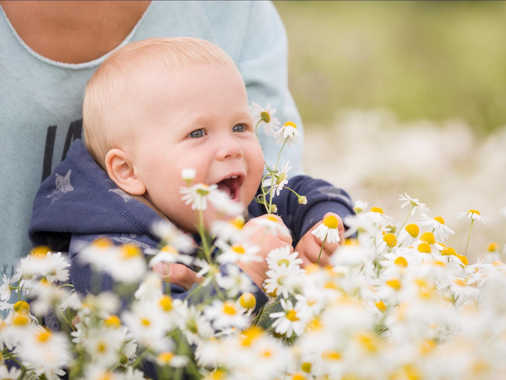 Mama und Baby mit ganz vielen Kamillenblüten. Mama und Baby mit ganz vielen Kamillenblüten.