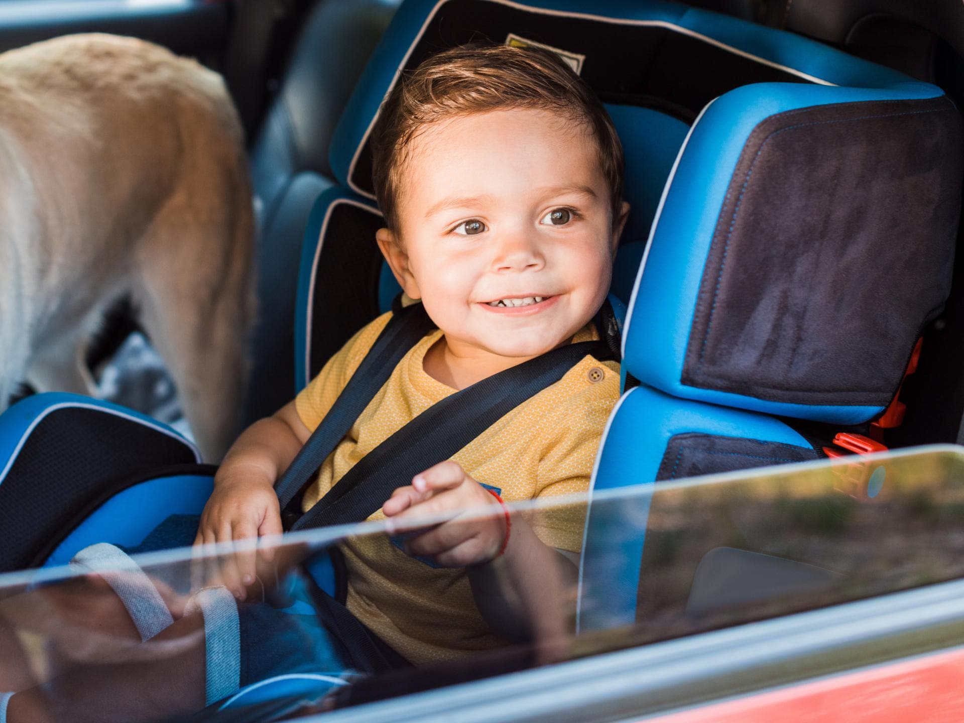 In einem Reisekindersitz fahren Kinder auch im Urlaub sicher im Auto mit. Ein kleiner lächelnder Junge sitzt in einem Kindersitz im Auto.