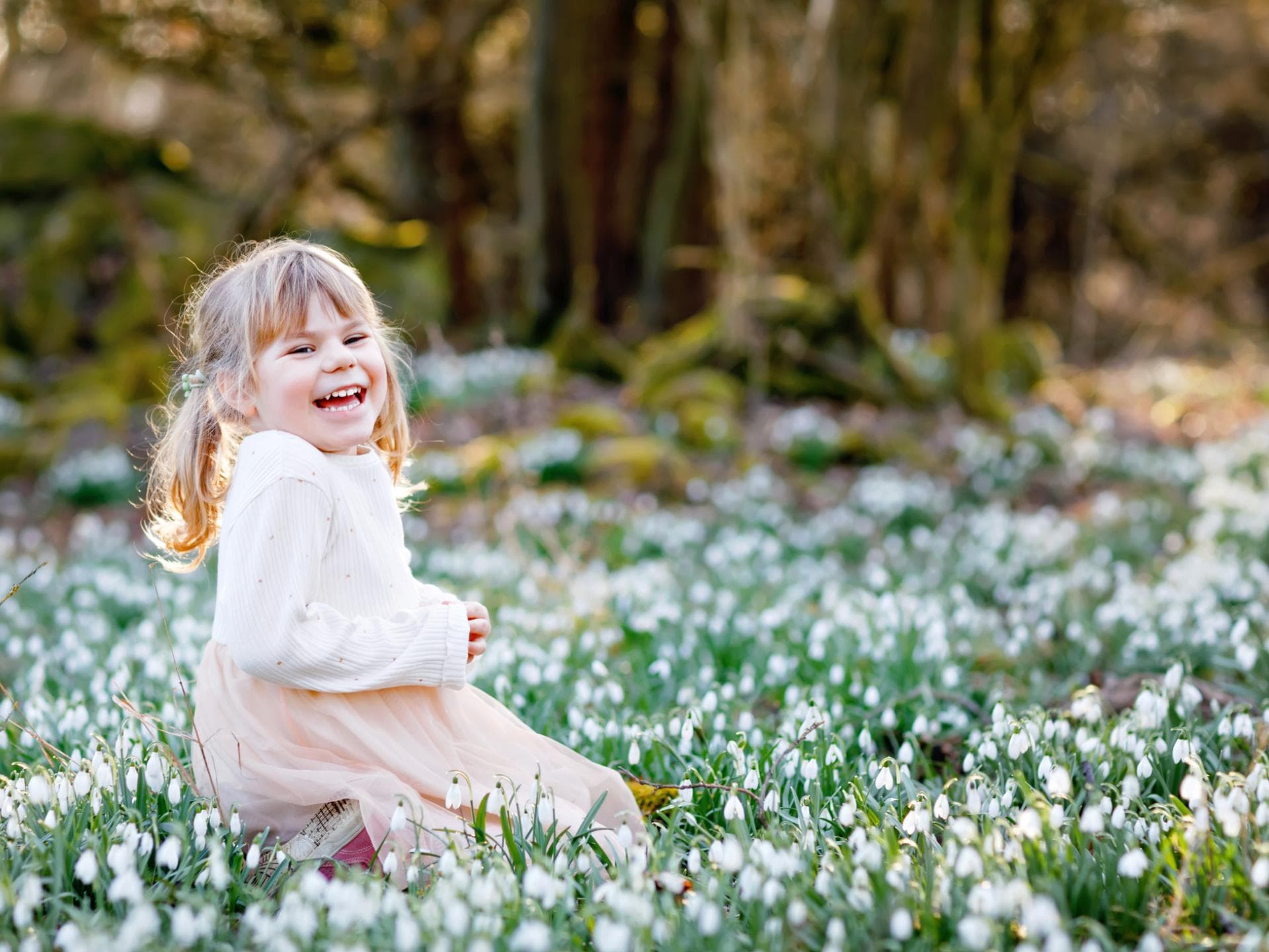 Frühblüher wie Schneeglöcken können giftig sein. Kleines Mädchen sitzt in Schneeglöckchen.